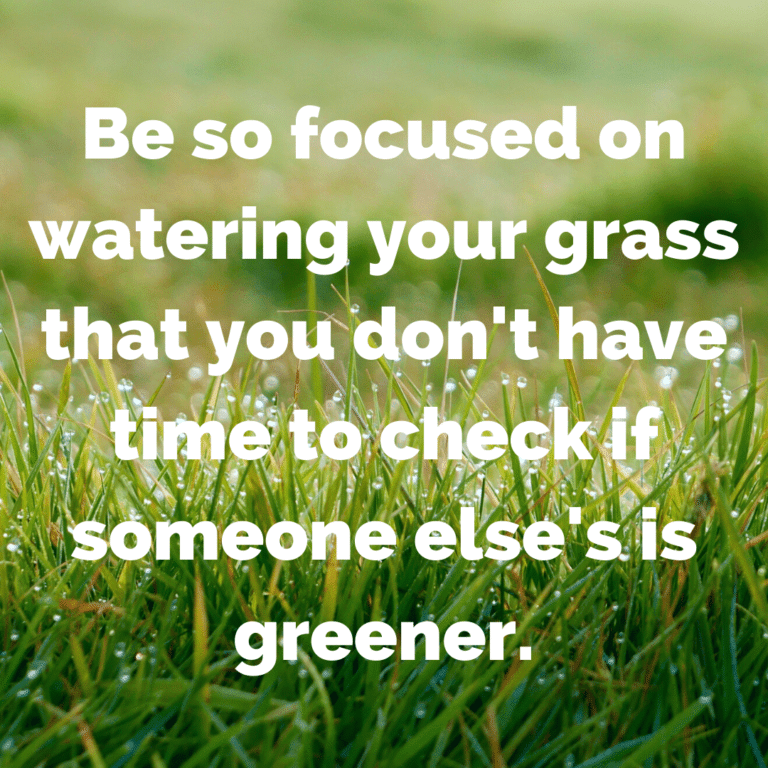 Read more about the article Be so focused on watering your grass that you don’t have time to check if someone else’s is greener.