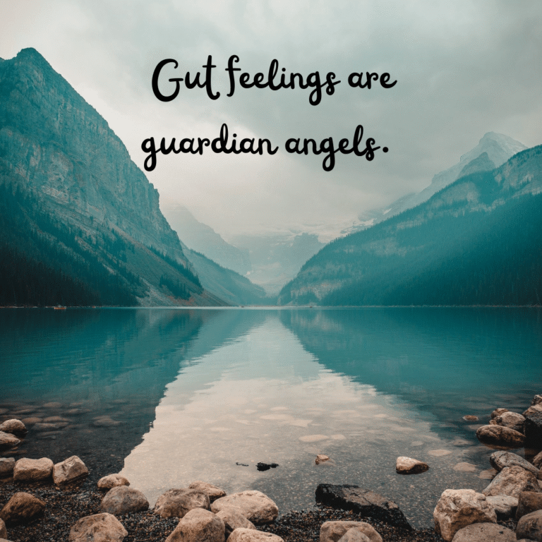 Read more about the article Gut feelings are guardian angels.