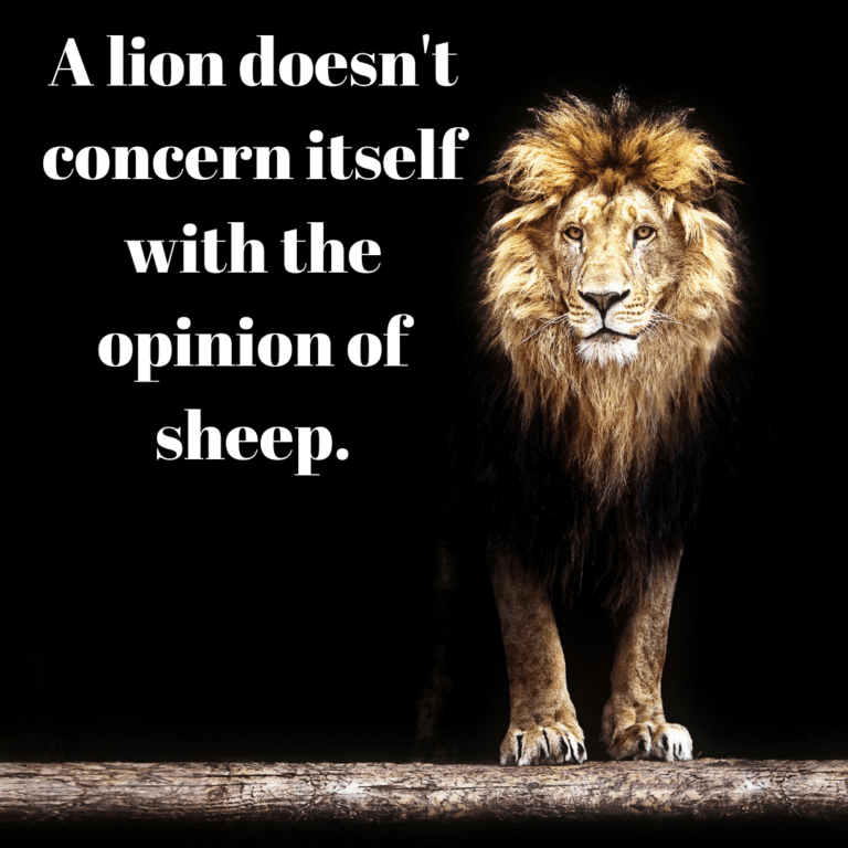 Read more about the article A lion doesn’t concern itself with the opinion of sheep.
