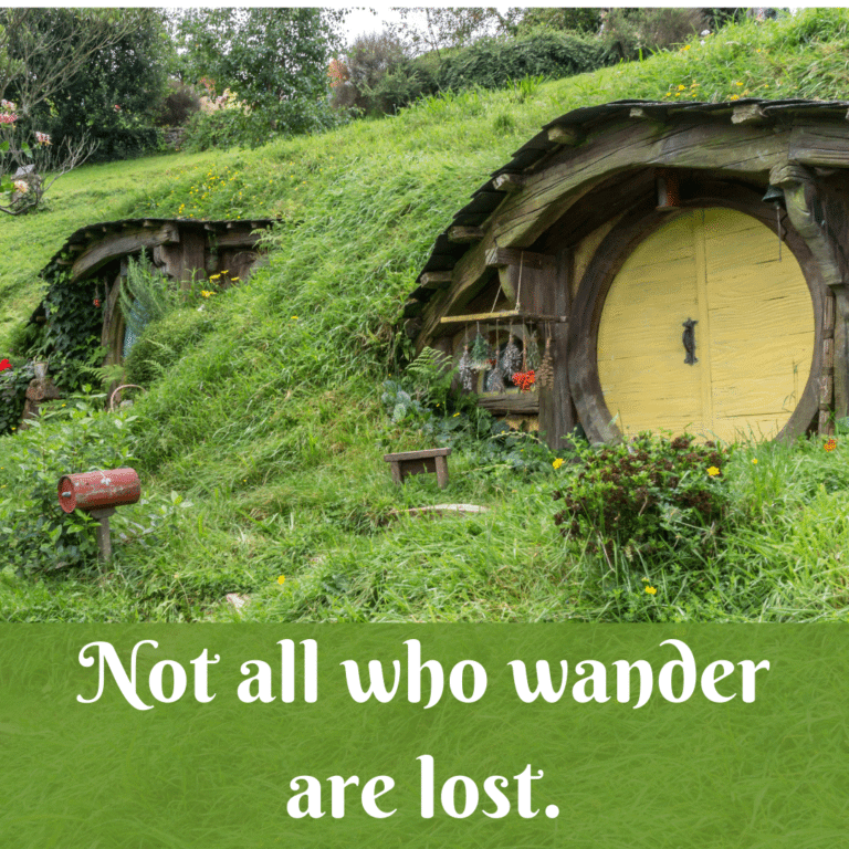 Read more about the article Not all who wander are lost.