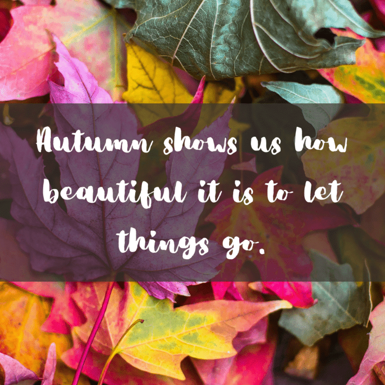 Read more about the article Autumn shows us how beautiful it is to let things go.