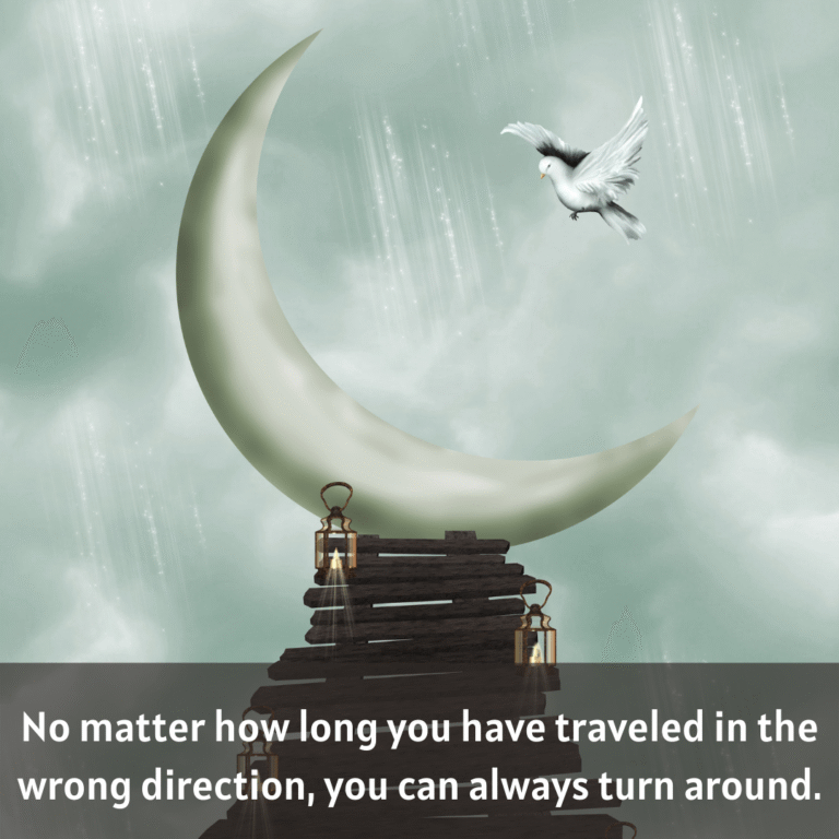 Read more about the article No matter how long you have traveled in the wrong direction, you can always turn around.
