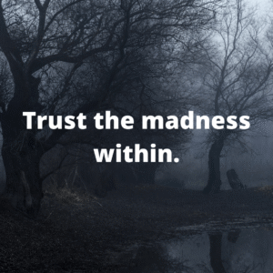 Read more about the article Trust the madness within.