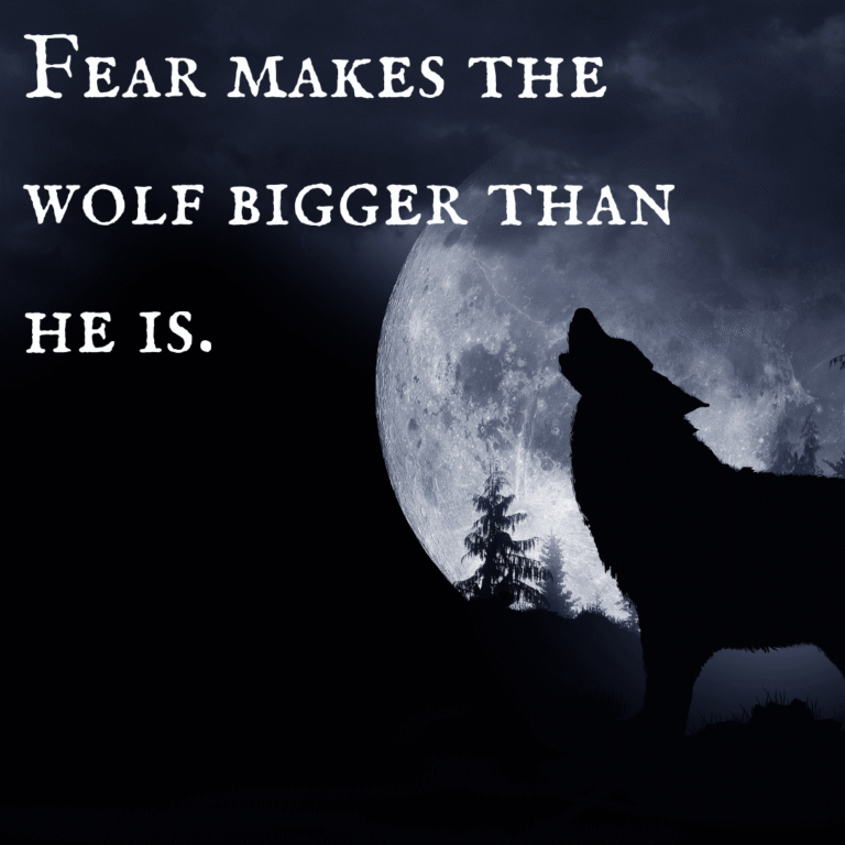Read more about the article Fear makes the wolf bigger than he is.