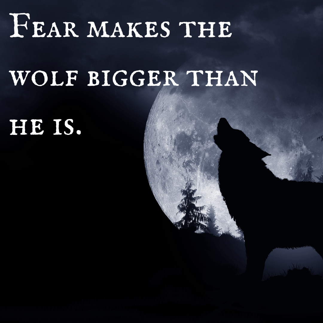 You are currently viewing Fear makes the wolf bigger than he is.