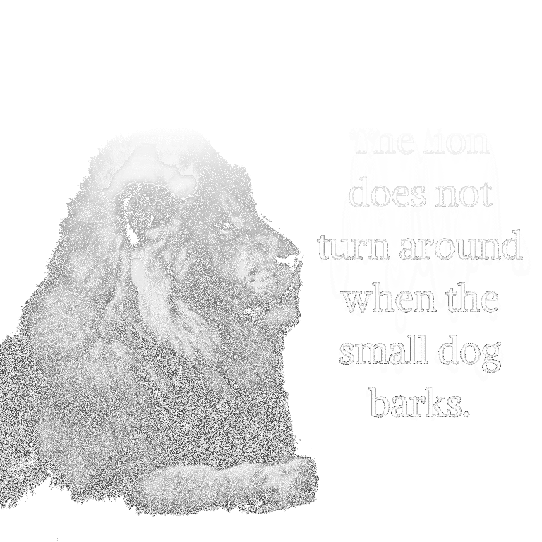 Read more about the article The lion does not turn around when the small dog barks.
