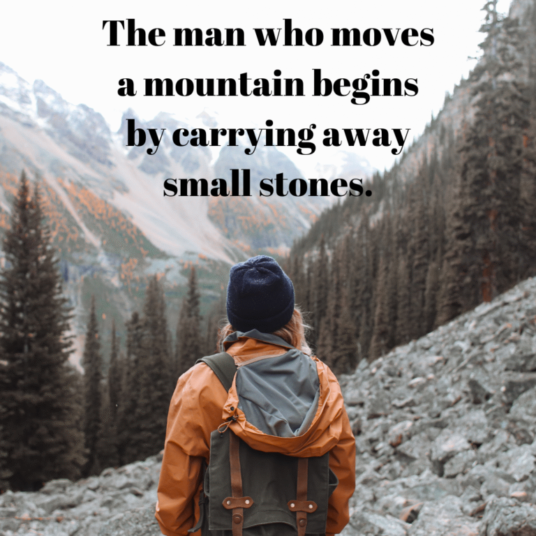 Read more about the article The man who moves a mountain begins by carrying away small stones.