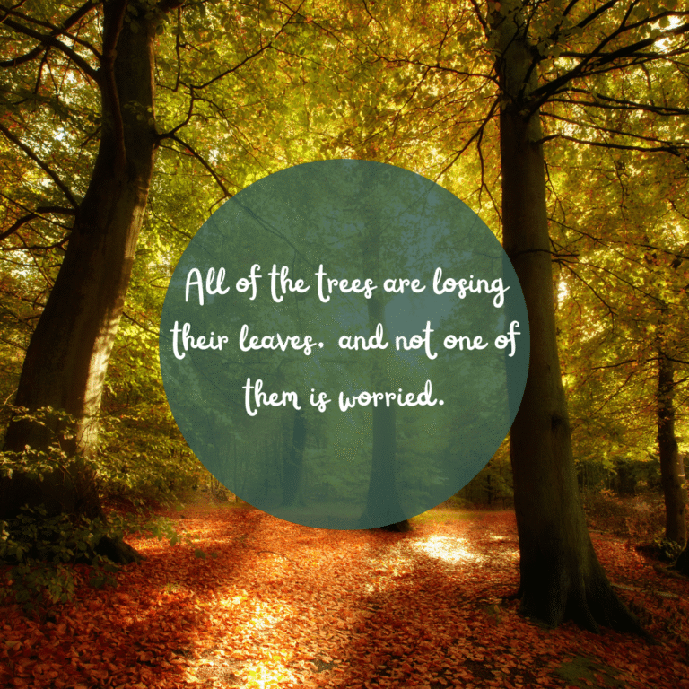 Read more about the article All of the trees are losing their leaves, and not one of them is worried.