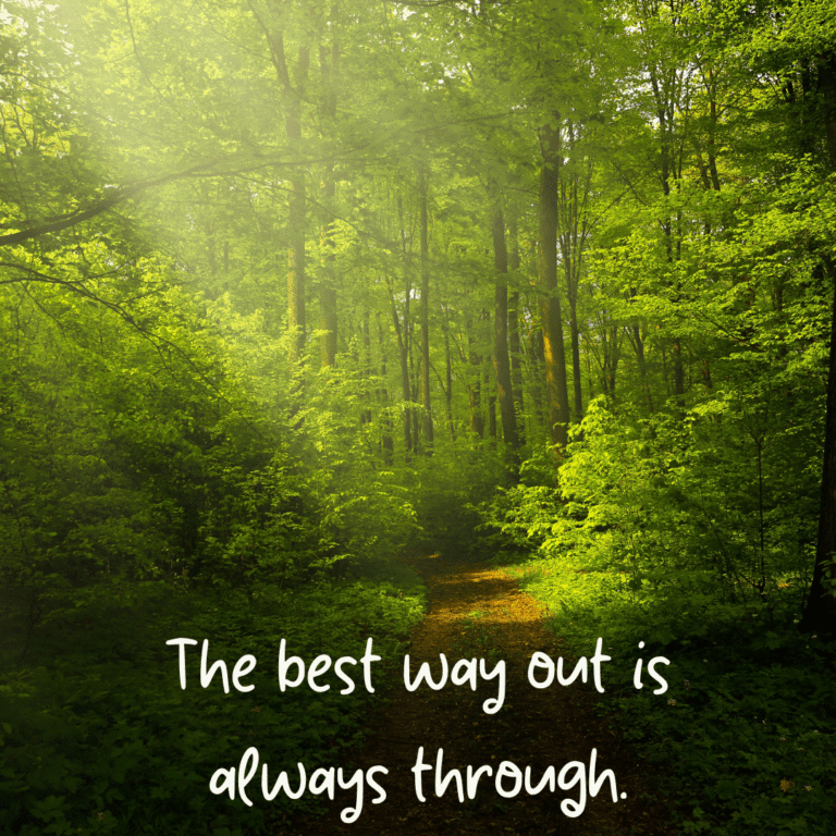 Read more about the article The best way out is always through.