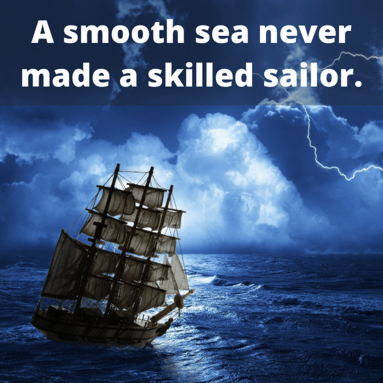 Read more about the article A smooth sea never made a skilled sailor.