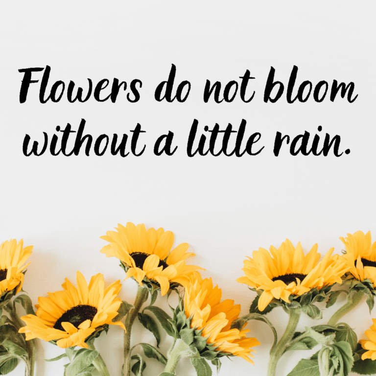 Read more about the article Flowers do not bloom without a little rain.