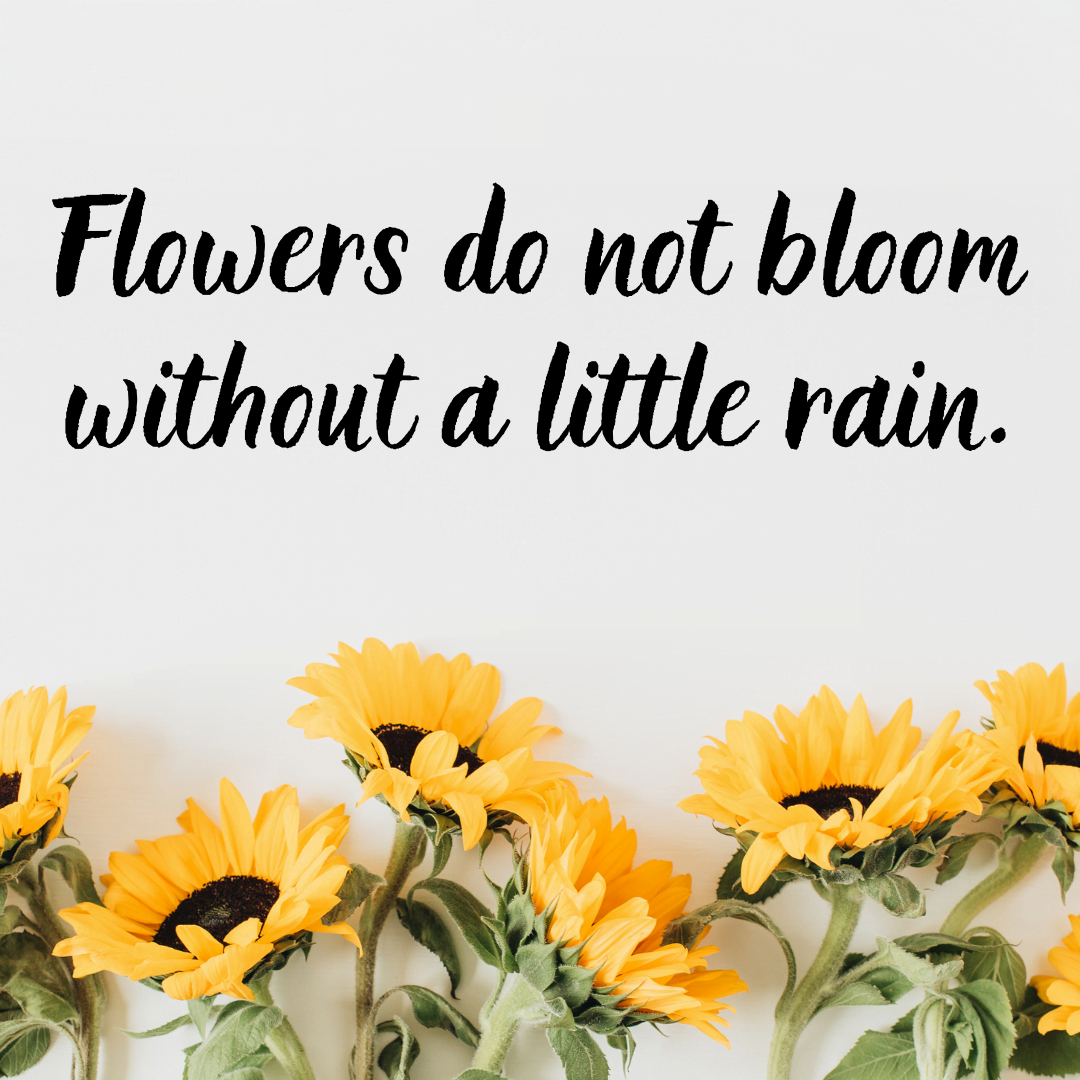 You are currently viewing Flowers do not bloom without a little rain.