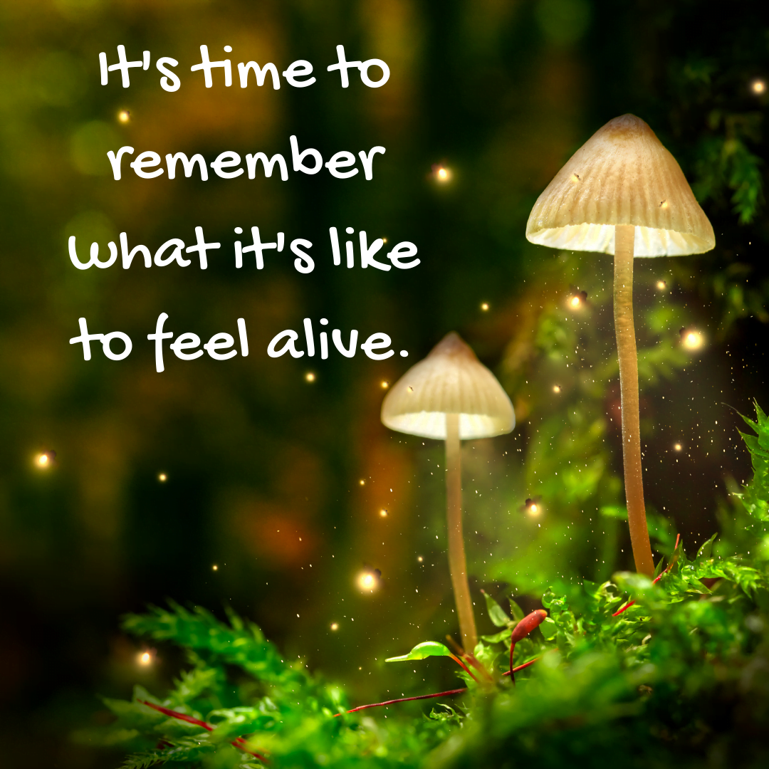 You are currently viewing It’s time to remember what it’s like to feel alive.