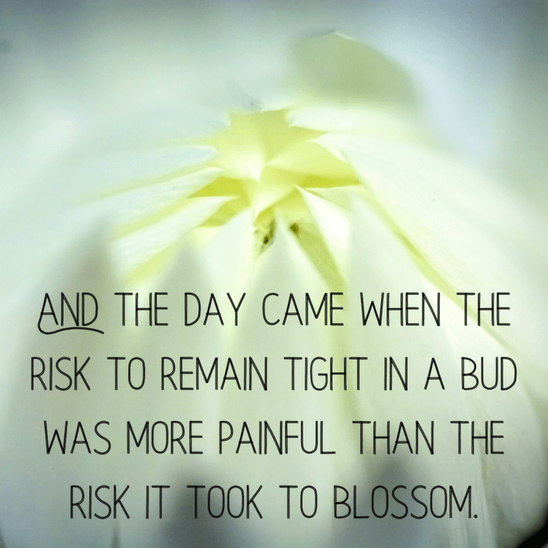 Read more about the article And the day came when the risk to remain tight in a bud was more painful than the risk it took to blossom.