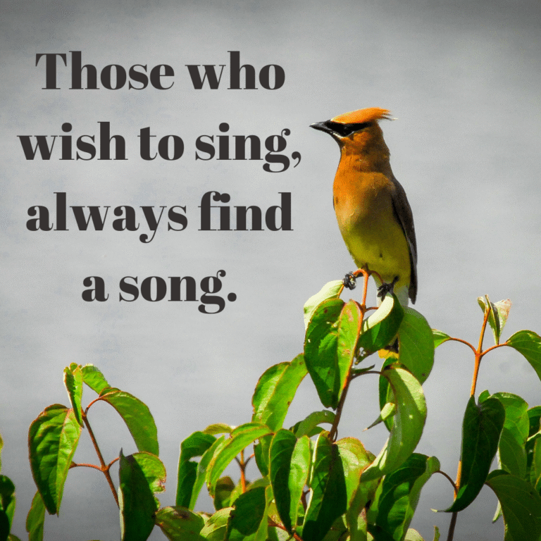 Read more about the article Those who wish to sing, always find a song.
