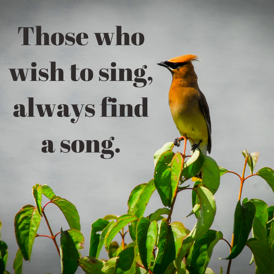 You are currently viewing Those who wish to sing, always find a song.