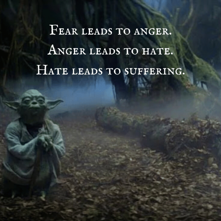 Read more about the article Fear leads to anger. Anger leads to hate. Hate leads to suffering.