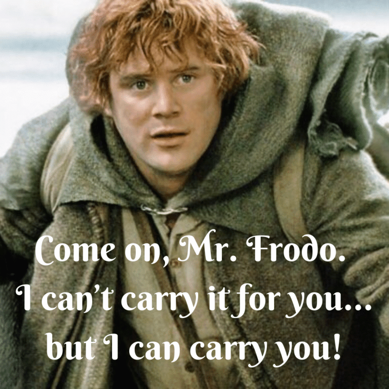 Read more about the article Come on, Mr. Frodo. I can’t carry it for you…but I can carry you!