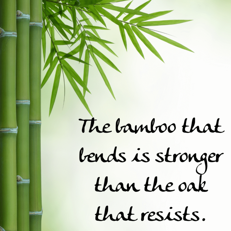 Read more about the article The bamboo that bends is stronger than the oak that resists.