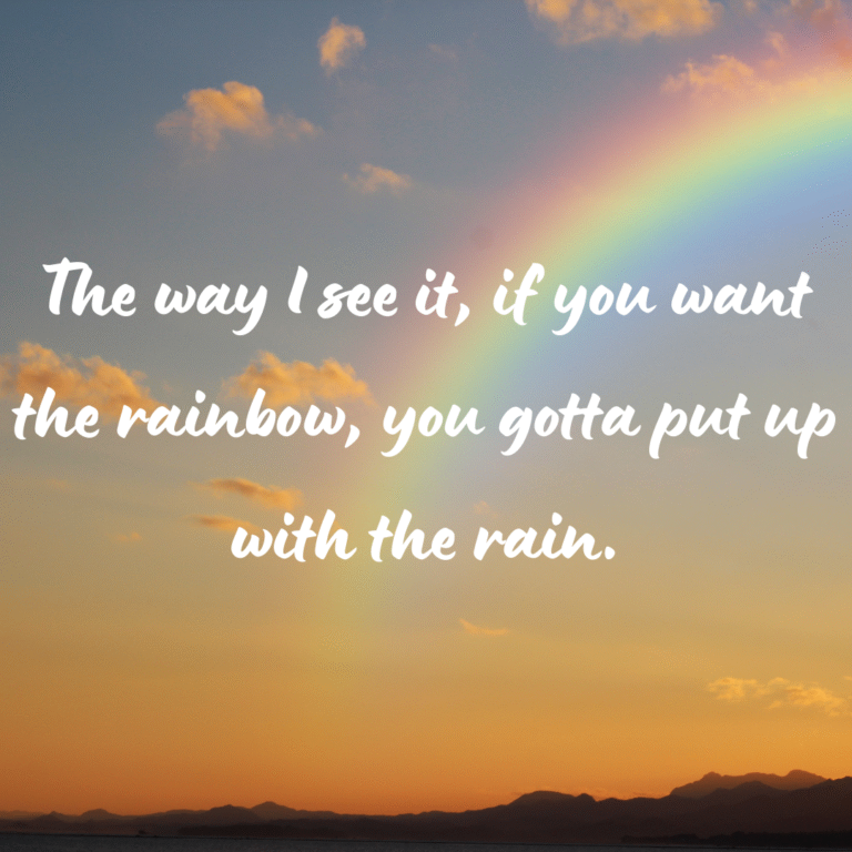 Read more about the article The way I see it, if you want the rainbow, you gotta put up with the rain.