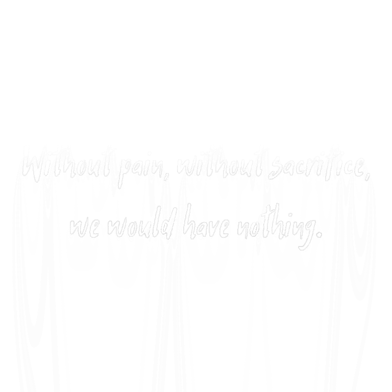Read more about the article Without pain, without sacrifice, we would have nothing.