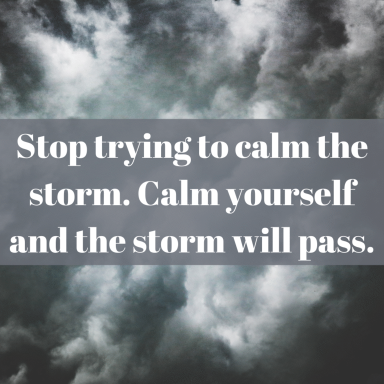 Read more about the article Stop trying to calm the storm. Calm yourself and the storm will pass.