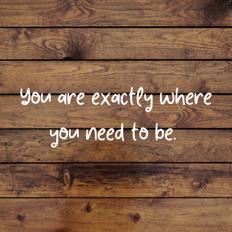 Read more about the article You are exactly where you need to be.