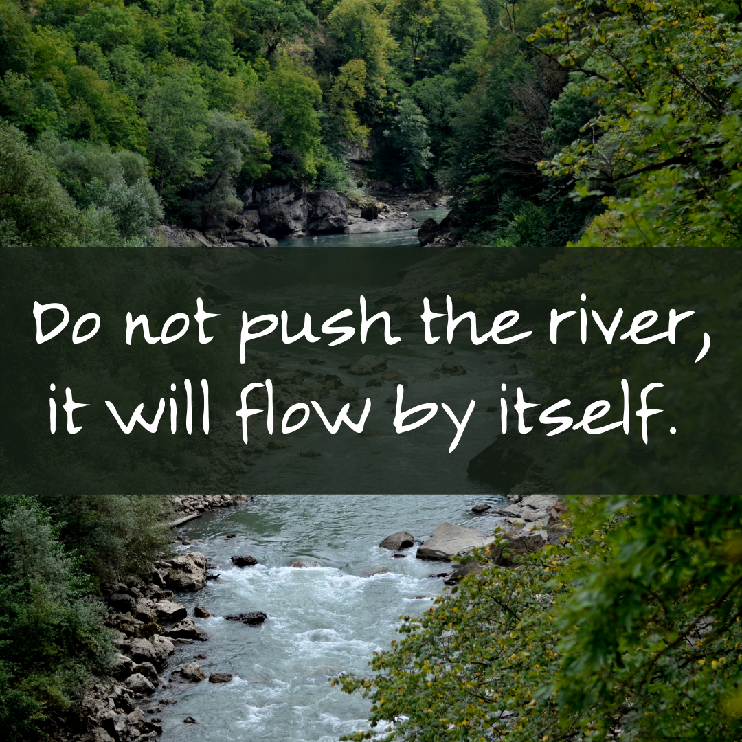 You are currently viewing Do not push the river, it will flow by itself.