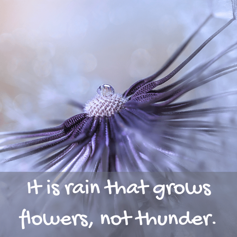 Read more about the article It is rain that grows flowers, not thunder.