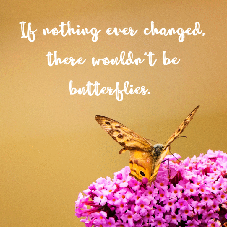 Read more about the article If nothing ever changed, there wouldn’t be butterflies.