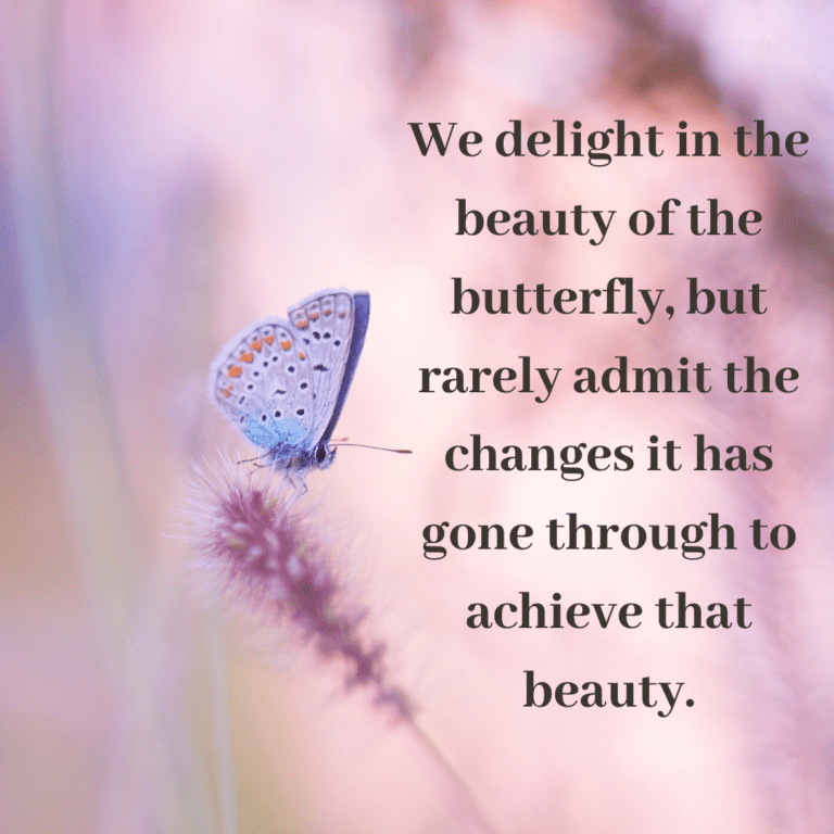 Read more about the article We delight in the beauty of the butterfly, but rarely admit the changes it has gone through to achieve that beauty.