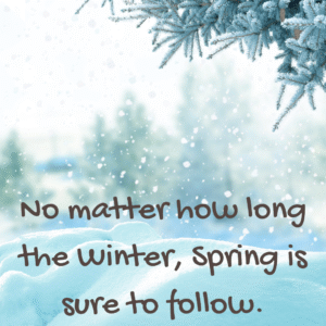 Read more about the article No matter how long the Winter, Spring is sure to follow.