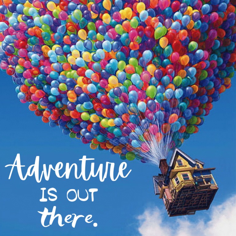 Read more about the article Adventure is out there.