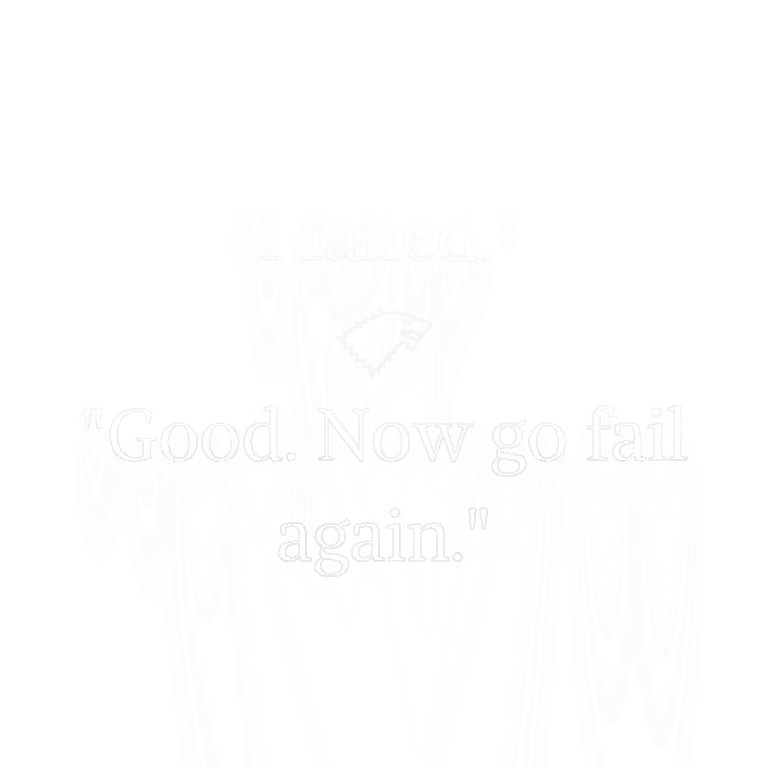 Read more about the article I failed. Good. Now go fail again.