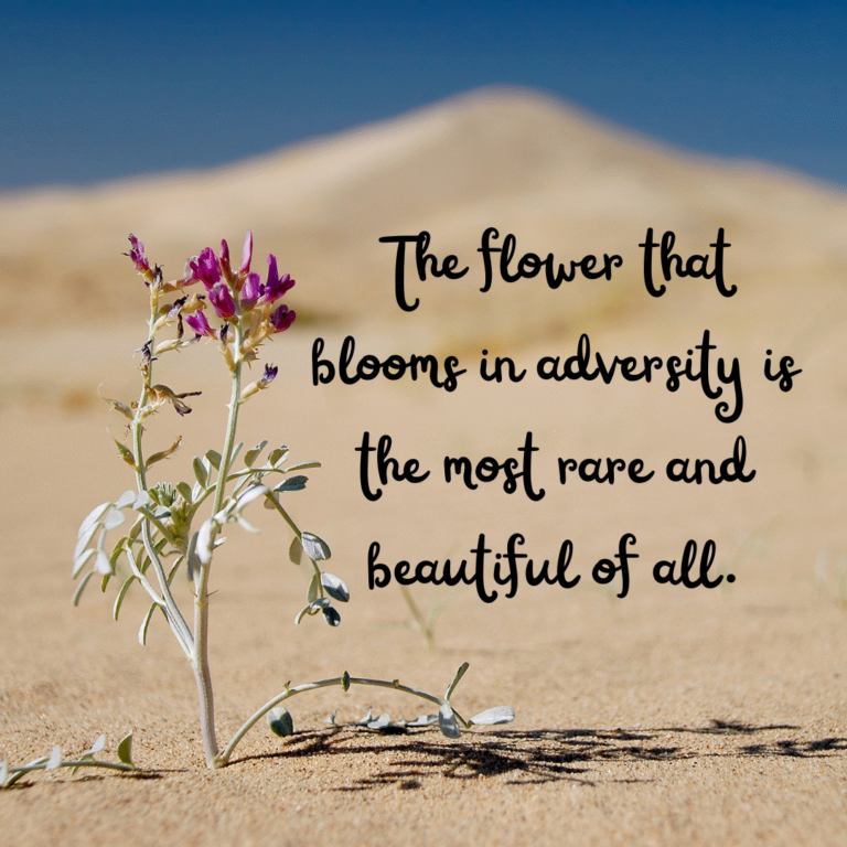 Read more about the article The flower that blooms in adversity is the most rare and beautiful of all.
