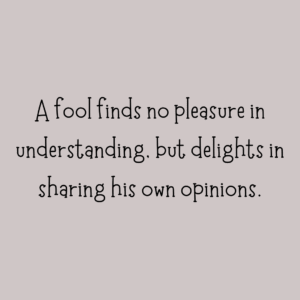 Read more about the article A fool finds no pleasure in understanding, but delights in sharing his own opinions.