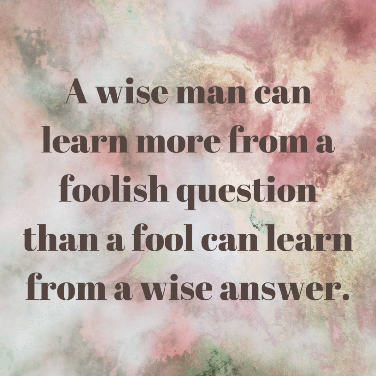 Read more about the article A wise man can learn more from a foolish question than a fool can learn from a wise answer.