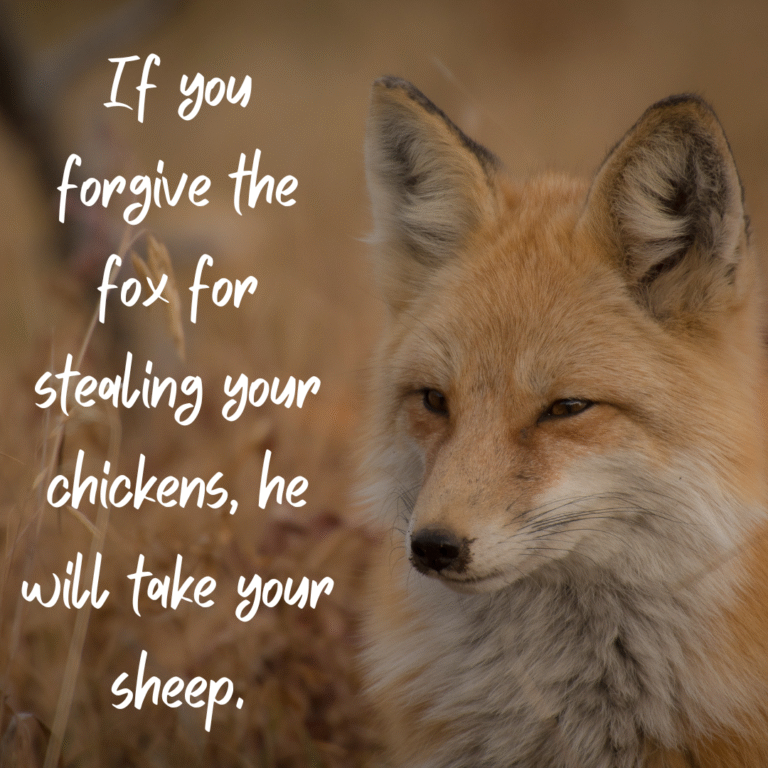 Read more about the article If you forgive the fox for stealing your chickens, he will take your sheep.
