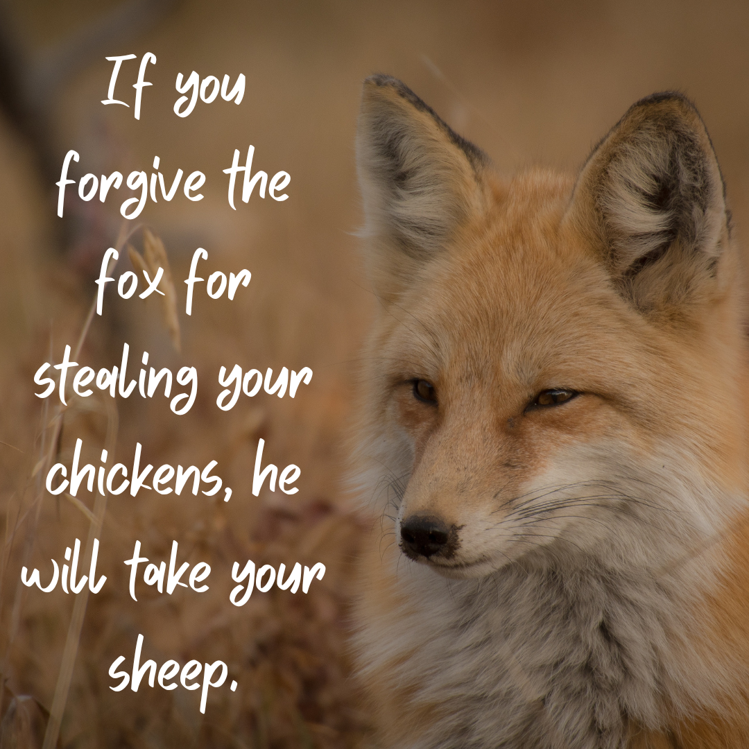 You are currently viewing If you forgive the fox for stealing your chickens, he will take your sheep.