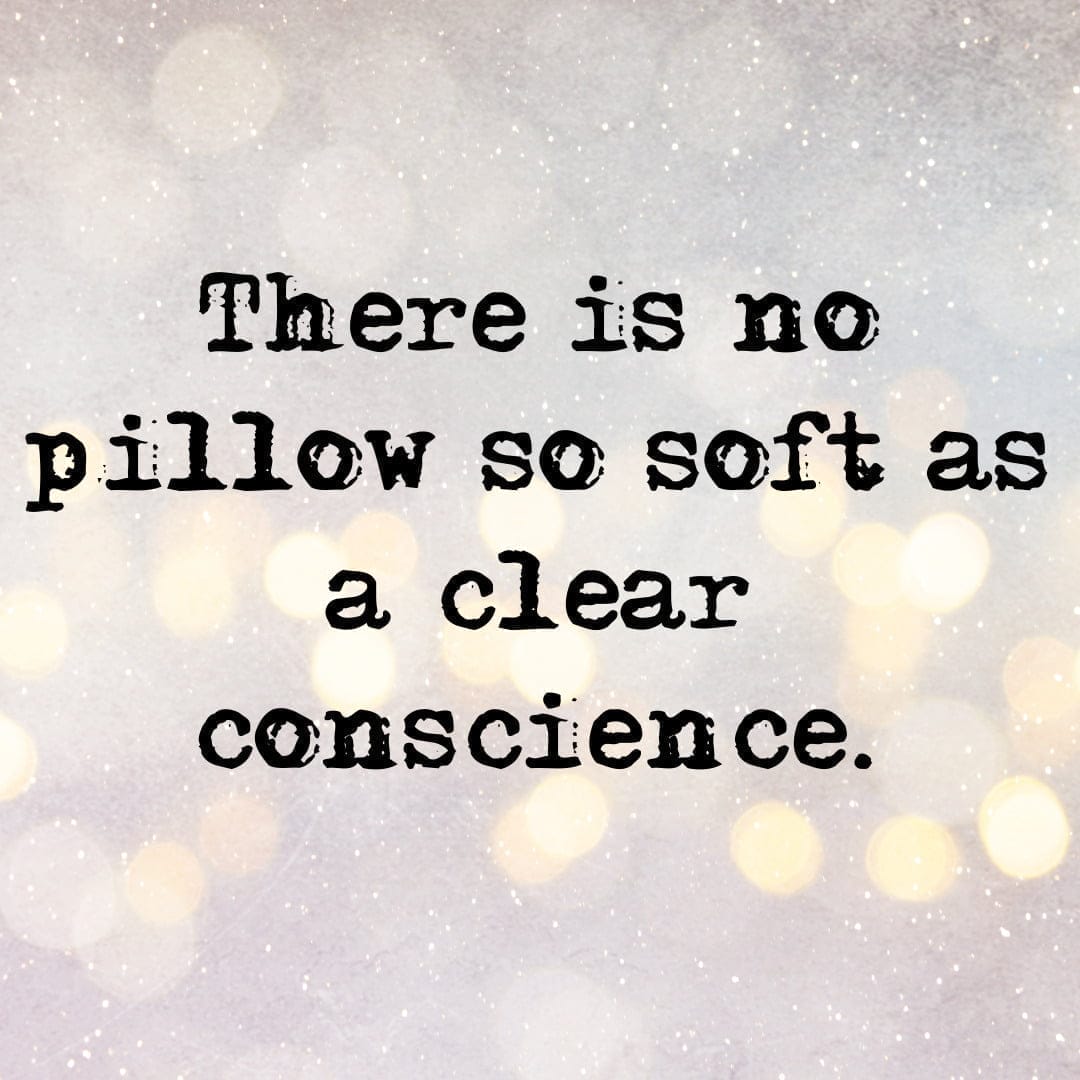 You are currently viewing There is no pillow so soft as a clear conscience.